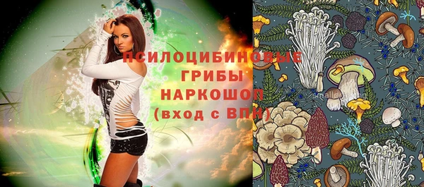 сатива Белокуриха