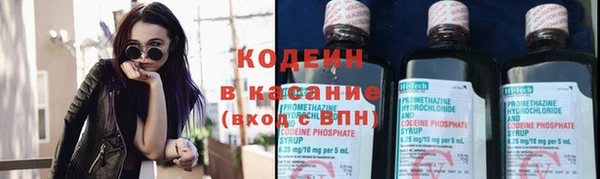 стаф Богородицк