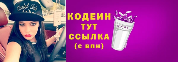 прущий лед Богданович