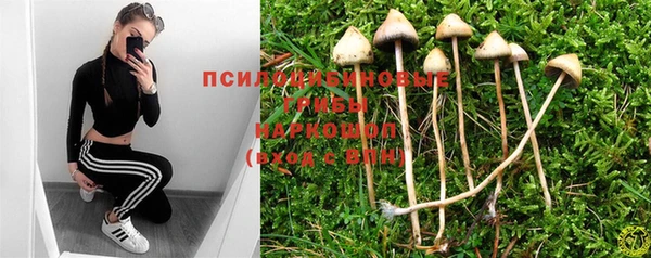 ешки Бугульма