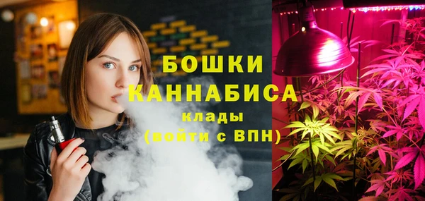 прущий лед Богданович